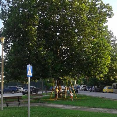 «Τα σημεία της πόλης»