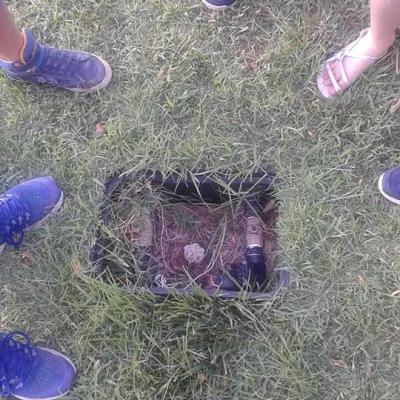 «Τα σημεία της πόλης»