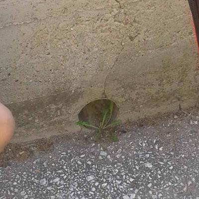 «Τα σημεία της πόλης»